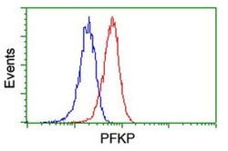 PFKP Mouse anti-Human, Mouse, Rat, Clone: OTI1D6, liquid, TrueMAB 100 &mu;L;