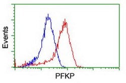 PFKP Mouse anti-Human, Clone: OTI3G8, lyophilized, TrueMAB 100 &mu;g; Unconjugated:Antibodies,