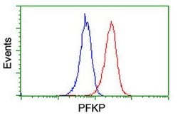 PFKP Mouse anti-Human, Clone: OTI3G8, lyophilized, TrueMAB 100 &mu;g; Unconjugated:Antibodies,
