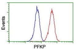 PFKP Monoclonal Antibody (OTI2E8), TrueMAB , OriGene 30 &mu;L; Unconjugated:Antibodies,