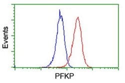 PFKP Monoclonal Antibody (OTI1A11), TrueMAB , OriGene 30 &mu;L; Unconjugated:Antibodies,