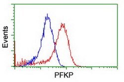 PFKP Mouse anti-Human, Clone: OTI5F7, lyophilized, TrueMAB 100 &mu;g; Unconjugated:Antibodies,
