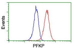 PFKP Mouse anti-Human, Clone: OTI5F7, lyophilized, TrueMAB 100 &mu;g; Unconjugated:Antibodies,
