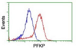 PFKP Mouse anti-Human, Clone: OTI2F2, lyophilized, TrueMAB 100 &mu;g; Unconjugated:Antibodies,