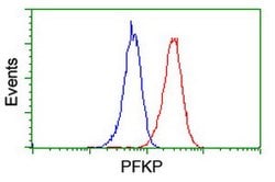 PFKP Mouse anti-Human, Clone: OTI2F2, lyophilized, TrueMAB 100 &mu;g; Unconjugated:Antibodies,