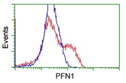PFN1 Mouse anti-Canine, Human, Non-human primate, Rat, Clone: OTI1D5, liquid,