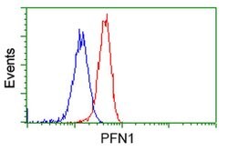 PFN1 Mouse anti-Canine, Human, Non-human primate, Rat, Clone: OTI1D5, liquid,
