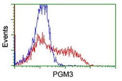 PGM3 Monoclonal Antibody (OTI1B8), TrueMAB , OriGene 100 &mu;L; Unconjugated:Antibodies,