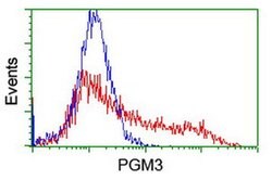 PGM3 Monoclonal Antibody (OTI5C6), TrueMAB , OriGene 30 &mu;L; Unconjugated:Antibodies,
