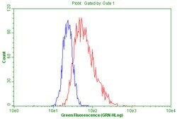 PGR Mouse anti-Human, Clone: OTI4B3, lyophilized, TrueMAB 100 &mu;g; Unconjugated:Antibodies,