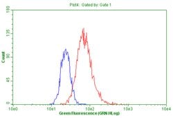 PGR Monoclonal Antibody (OTI11E8), TrueMAB , OriGene:Antibodies:Primary