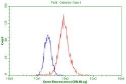 PGR Monoclonal Antibody (OTI5C12), TrueMAB , OriGene:Antibodies:Primary