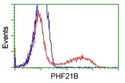 PHF21B Monoclonal Antibody (OTI3G9), TrueMAB , OriGene:Antibodies:Primary