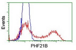 PHF21B Mouse anti-Human, Clone: OTI3D1, liquid, TrueMAB 100 &mu;L; Unconjugated:Antibodies,