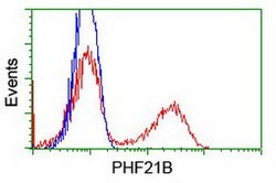 PHF21B Mouse anti-Human, Clone: OTI4C5, lyophilized, TrueMAB 100 &mu;g;