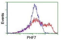 PHF7 Monoclonal Antibody (OTI1G9), TrueMAB , OriGene 100 &mu;L; Unconjugated:Antibodies,
