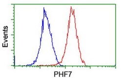PHF7 Monoclonal Antibody (OTI1G9), TrueMAB , OriGene 100 &mu;L; Unconjugated:Antibodies,