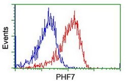 PHF7 Monoclonal Antibody (OTI1G9), TrueMAB , OriGene 100 &mu;L; Unconjugated:Antibodies,