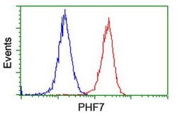 PHF7 Monoclonal Antibody (OTI1A2), TrueMAB , OriGene 30 &mu;L; Unconjugated:Antibodies,