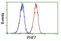 PHF7 Monoclonal Antibody (OTI1A2), TrueMAB , OriGene 30 &mu;L; Unconjugated:Antibodies,