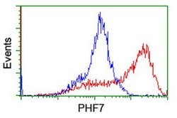 PHF7 Mouse anti-Human, Clone: OTI1A11, lyophilized, TrueMAB 100 &mu;g;
