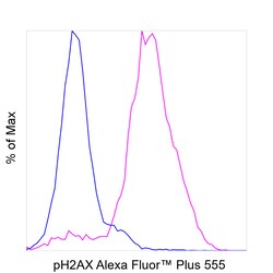 Invitrogen Phospho-Histone H2A.X (Ser139) Recombinant Mouse Monoclonal Antibody (CR55T33), Alexa Fluor Plus 555 50 &mu;L | Buy Online | Invitrogen&trade; | Fisher Scientific