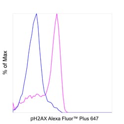 Invitrogen Phospho-Histone H2A.X (Ser139) Recombinant Mouse Monoclonal