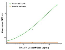 PIK3AP1 Mouse anti-Human, Clone: OTI1C3, liquid, TrueMAB 100 &mu;g; Unconjugated:Antibodies,