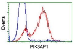 PIK3AP1 Monoclonal Antibody (OTI7A11), TrueMAB , OriGene 30 &mu;L; Unconjugated:Antibodies,
