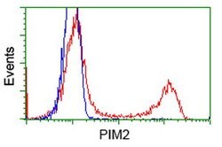 PIM2 Mouse anti-Human, Clone: OTI8B4, lyophilized, TrueMAB 100 &mu;g | Buy Online | Origene Technologies | Fisher Scientific
