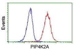 PIP4K2A Monoclonal Antibody (OTI1B2), TrueMAB , OriGene 100 &mu;L; Unconjugated:Antibodies,