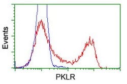 PKLR Mouse anti-Human, Clone: OTI1F3, lyophilized, TrueMAB 100 &mu;g; Unconjugated:Antibodies,