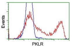 PKLR Monoclonal Antibody (OTI1H9), TrueMAB , OriGene 100 &mu;L; Unconjugated:Antibodies,