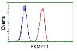 PKMYT1 Mouse anti-Human, Clone: OTI2B4, lyophilized, TrueMAB 100 &mu;g;