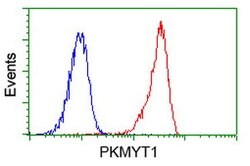 PKMYT1 Mouse anti-Human, Clone: OTI2B4, lyophilized, TrueMAB 100 &mu;g;