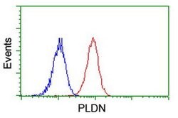 PLDN Monoclonal Antibody (OTI1E2), TrueMAB , OriGene 100 &mu;L; Unconjugated:Antibodies,