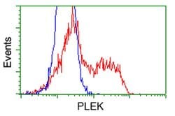 PLEK Monoclonal Antibody (OTI6H8), TrueMAB , OriGene 30 &mu;L; Unconjugated:Antibodies,