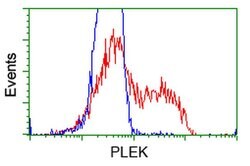 PLEK Monoclonal Antibody (OTI3E2), TrueMAB , OriGene 100 &mu;L; Unconjugated:Antibodies,