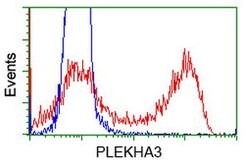 PLEKHA3 Mouse anti-Human, Clone: OTI2D1, lyophilized, TrueMAB 100 &mu;g;