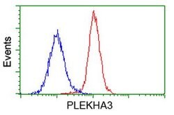 PLEKHA3 Mouse anti-Human, Clone: OTI2D1, lyophilized, TrueMAB 100 &mu;g;
