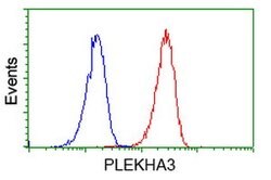 PLEKHA3 Mouse anti-Human, Clone: OTI2D1, lyophilized, TrueMAB 100 &mu;g;