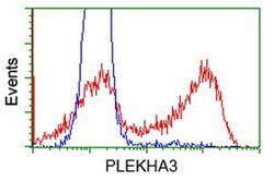 PLEKHA3 Mouse anti-Human, Clone: OTI5D11, liquid, TrueMAB 100 &mu;L; Unconjugated:Antibodies,