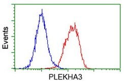 PLEKHA3 Mouse anti-Human, Clone: OTI5D11, lyophilized, TrueMAB 100 &mu;g;