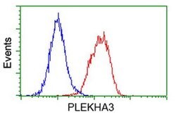 PLEKHA3 Mouse anti-Human, Clone: OTI5D11, liquid, TrueMAB 100 &mu;L; Unconjugated:Antibodies,