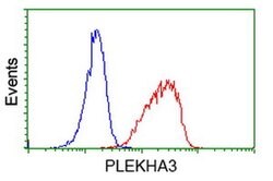 PLEKHA3 Mouse anti-Human, Clone: OTI5D11, liquid, TrueMAB 100 &mu;L; Unconjugated:Antibodies,