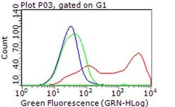 PLK1 Mouse anti-Human, Clone: OTI9E9, liquid, TrueMAB 100 &mu;L | Buy Online | Origene Technologies | Fisher Scientific