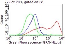 PLK1 Mouse anti-Human, Clone: OTI1D4, liquid, TrueMAB 100 &mu;L; Unconjugated:Antibodies,