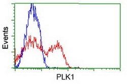 PLK1 Mouse anti-Canine, Human, Clone: OTI8C12, lyophilized, TrueMAB 100