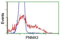 PNMA3 Mouse anti-Human, Clone: OTI1C3, lyophilized, TrueMAB 100 &mu;g;