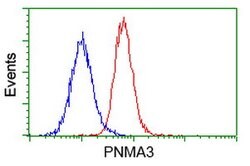 PNMA3 Mouse anti-Human, Clone: OTI1C3, lyophilized, TrueMAB 100 &mu;g;